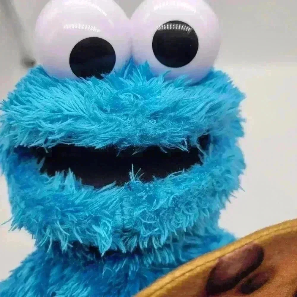 Peekaboo Cookie Monster Animated 12" Plush Talks Num Num Sounds Sesame Street - Picture 5 of 12